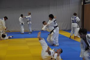 Training Osnabrück